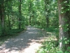annette-cheek-trail-to-nature-center