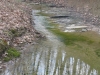 brooks-hollow-creek-spring