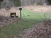 canada-geese-on-bluebird-trail