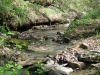 creek-on-waterfall-trail