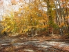 fall-on-the-fork