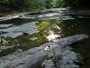 north-rolling-fork-roy-ellis-trail-spur