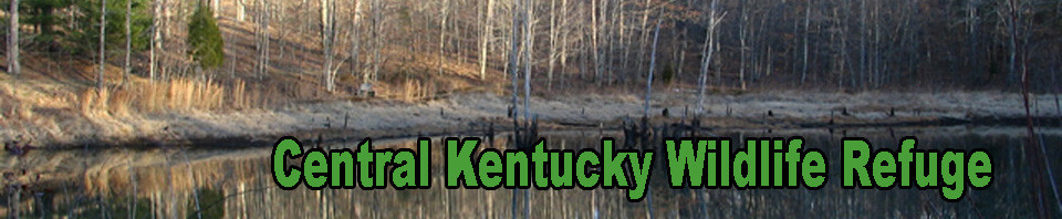 cropped-header9601.jpg