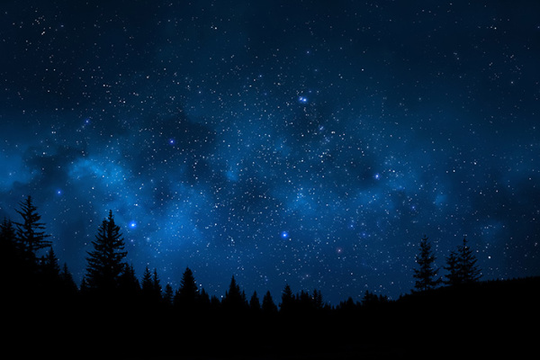 Star Gazing